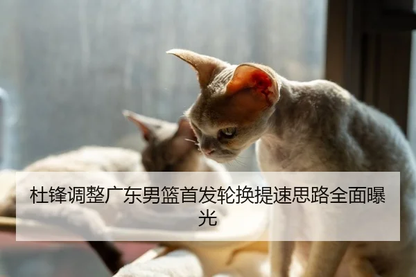 杜锋调整广东男篮首发轮换提速思路全面曝光